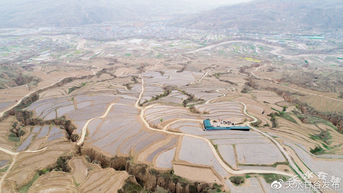 卡盟自助下单24小时